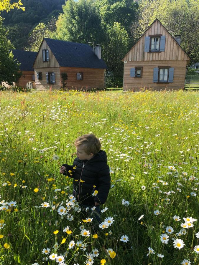 Les Chalets D'Arrens Экстерьер фото